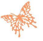 bflycopy